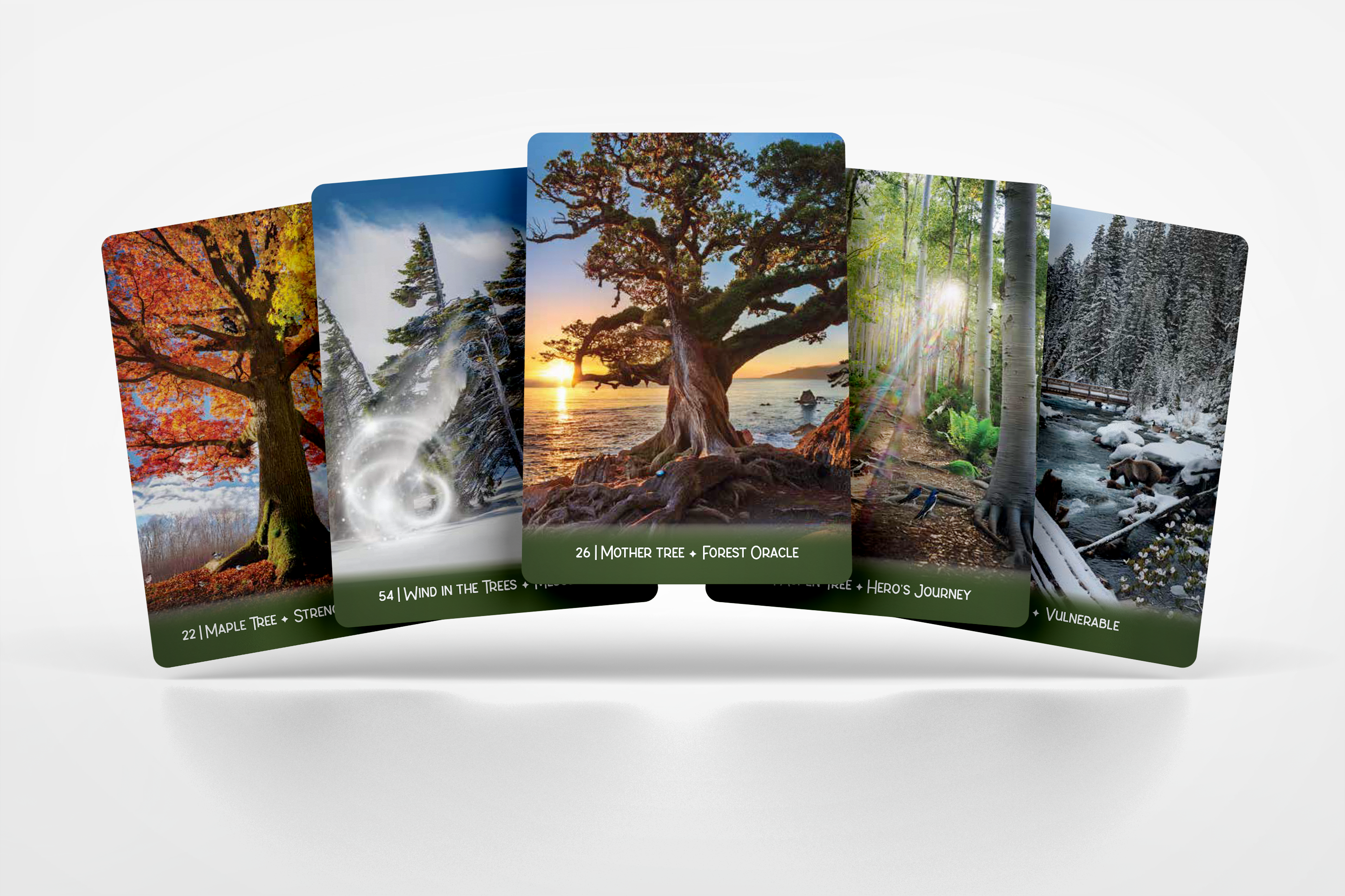 [PRE-ORDER] Forest Wisdom Oracle Deck & Guidebook