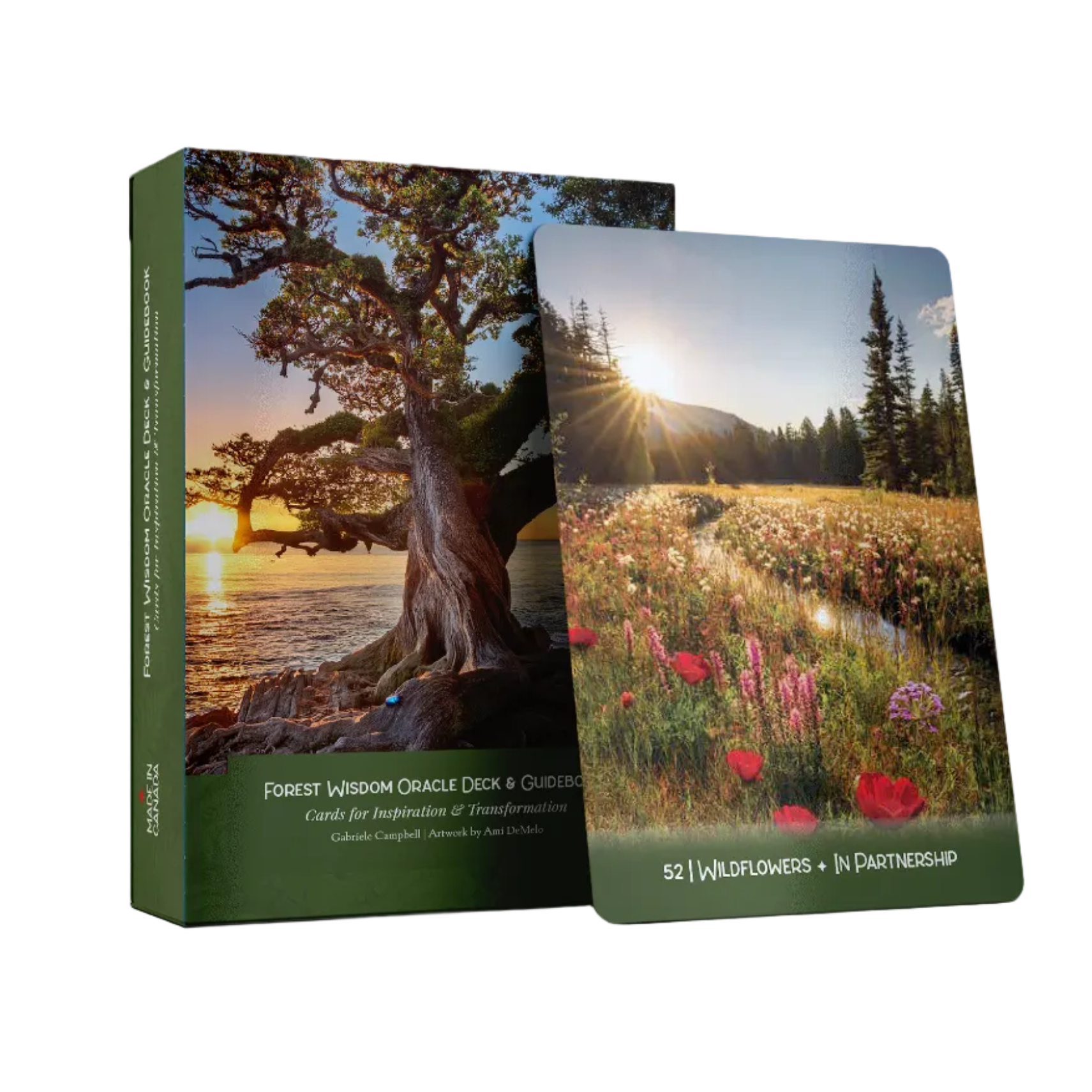 Two photo albums with nature-themed covers on a white background
