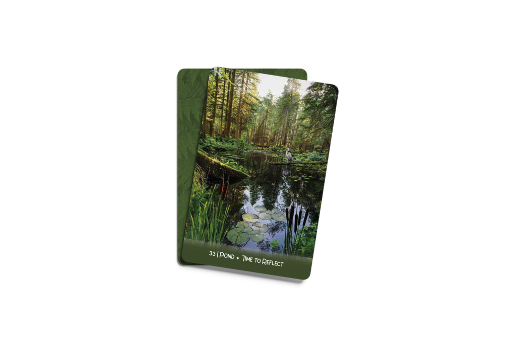 [PRE-ORDER] Forest Wisdom Oracle Deck & Guidebook