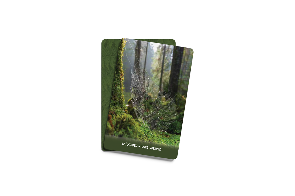 [PRE-ORDER] Forest Wisdom Oracle Deck & Guidebook