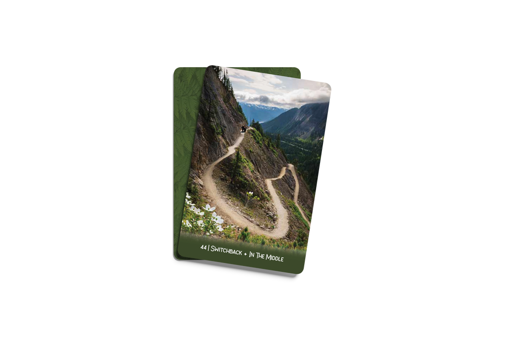 [PRE-ORDER] Forest Wisdom Oracle Deck & Guidebook